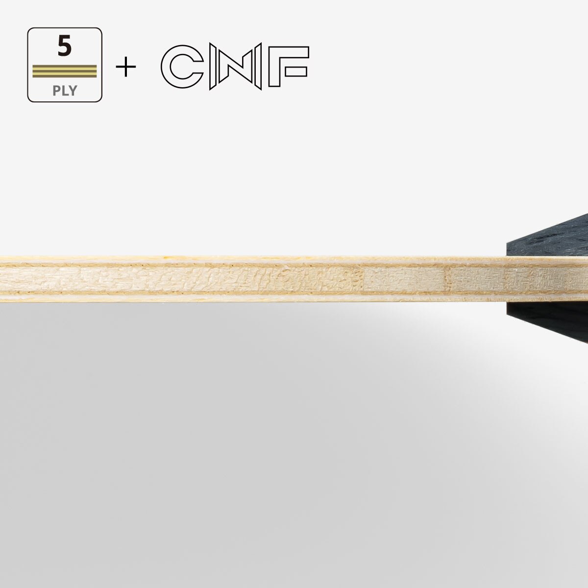 Butterfly Fan Zhendong CNF: View of CNF plies